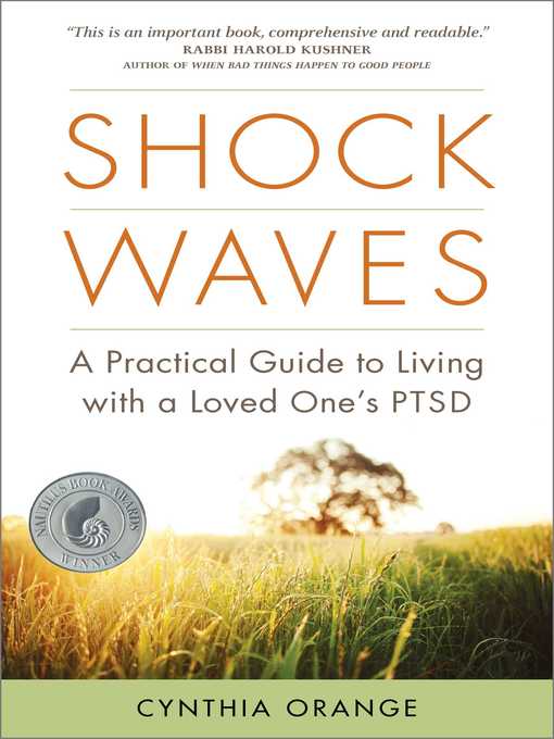 Title details for Shock Waves by Cynthia Orange - Wait list